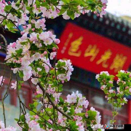 老王头的春天林初晴最火的一句:春天花会开