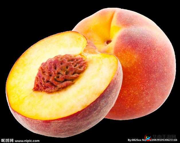 蜜桃文化传媒有限公司于 XX 年成立