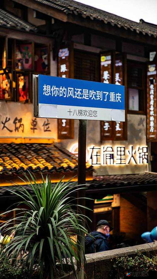 叶英书信漂泊之约:千里传音,细诉思念,破解攻略之旅