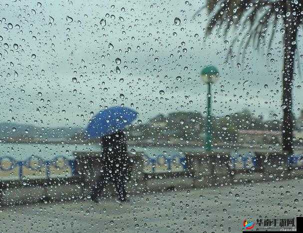 湿漉漉的像是刚下过雨:雨后的清新世界