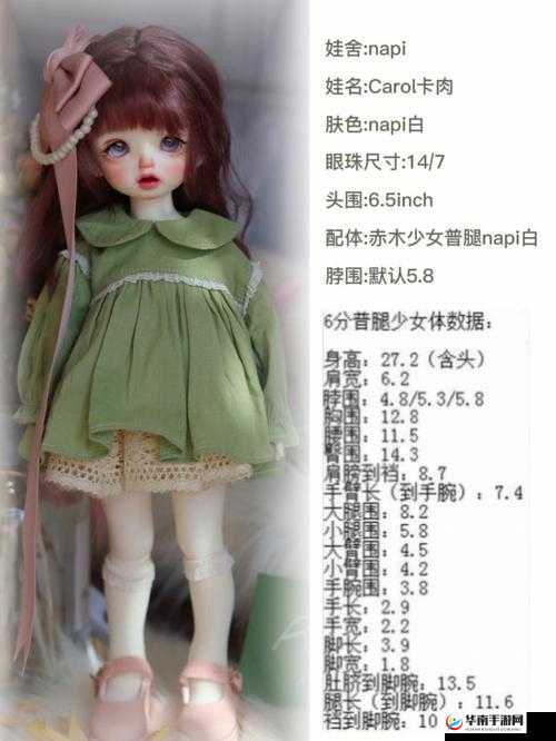 八寸的娃娃有多大：实际尺寸介绍