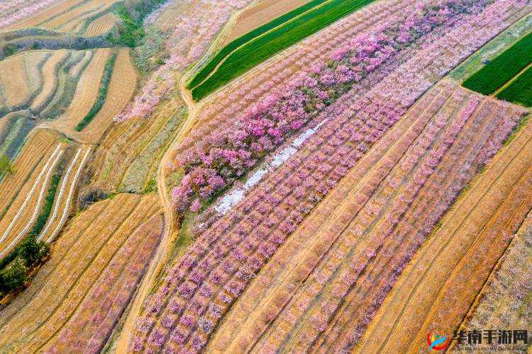 桃花洞口现状探访：生态与人文的交织
