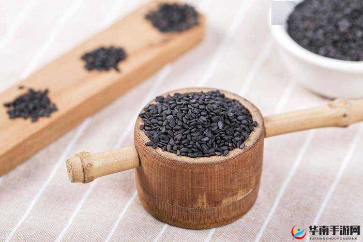 国精产品 W灬源码 1688 养生:传统与现代的完美结合