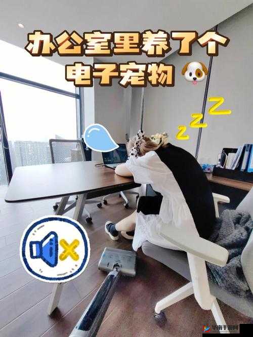 办公室可不可以干湿你非常适合解压：探究其奥秘