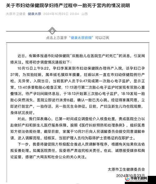 WindowsChannel 孕妇生产更新：最新情况