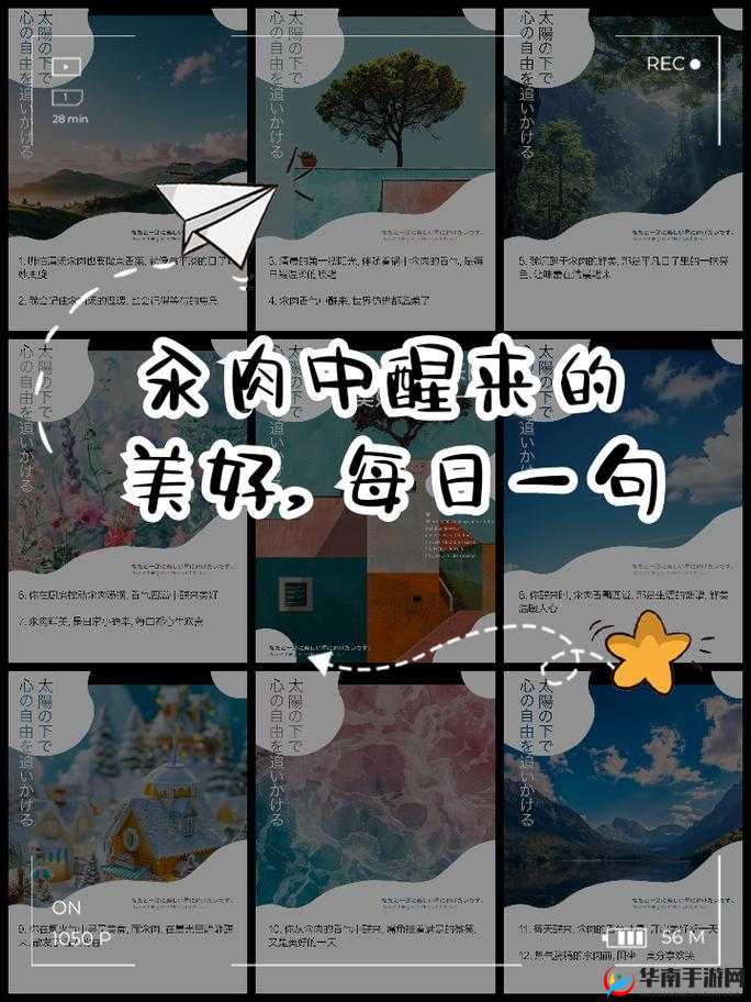 每天都在汆肉中醒来的奇妙生活