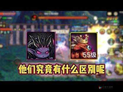 精灵侵袭宠物秘境挑战不断,超实用通关策略大揭秘