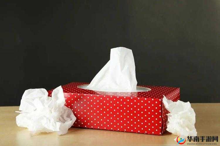 已满 18 岁已带好卫生纸怎么办：独自面对成长的选择