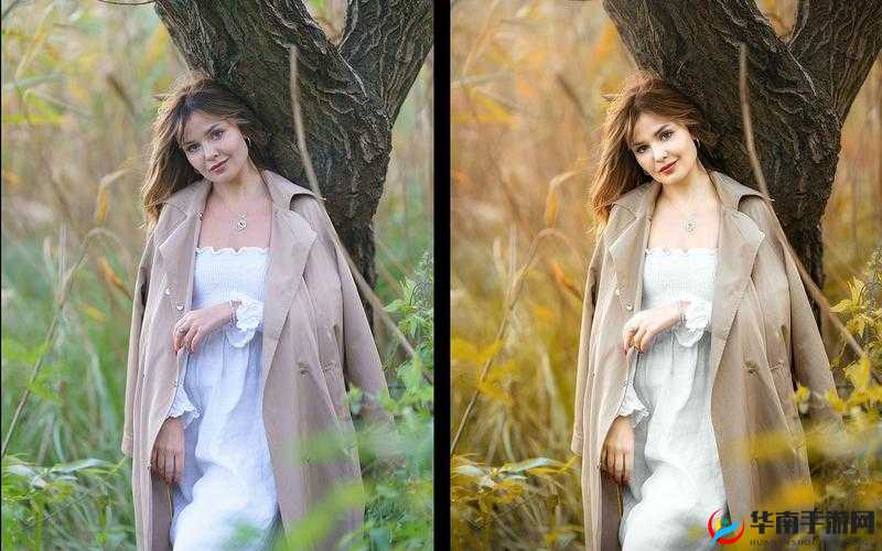 ps 欧美人像调色教程视频：实战技巧分享