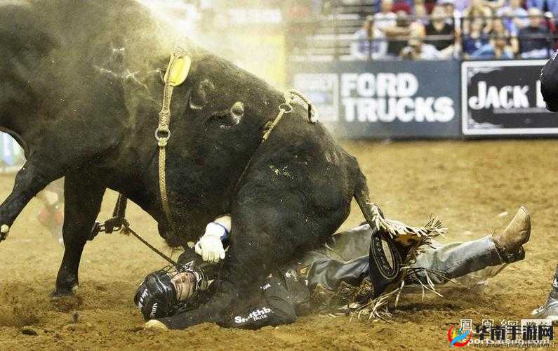 人马畜禽company-limited：关于它的探讨