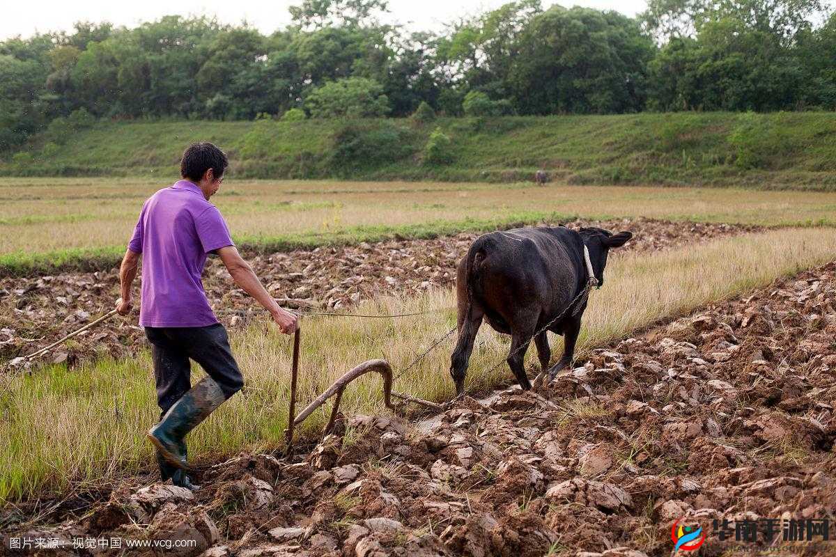 儿子替母耕种田地蕴含深意