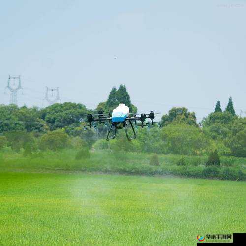 黑硬蘑菇头助力可持续农业发展之道