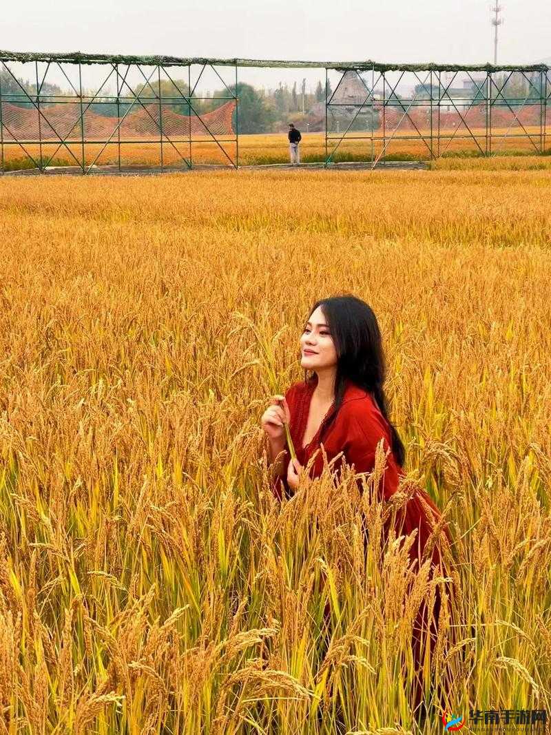 探索修真世界：绿酒如何穿越麦田，废弃稻田的神秘进入路线揭秘