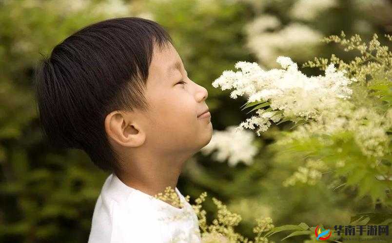 心之月花圃探秘：未知的芬芳之旅