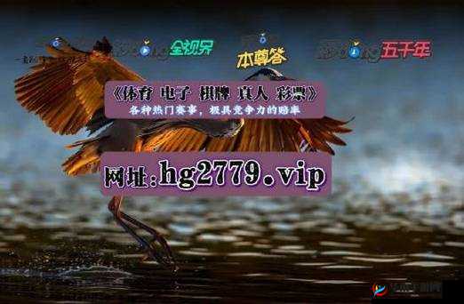 成品网源码 78w78：安全、稳定、高效