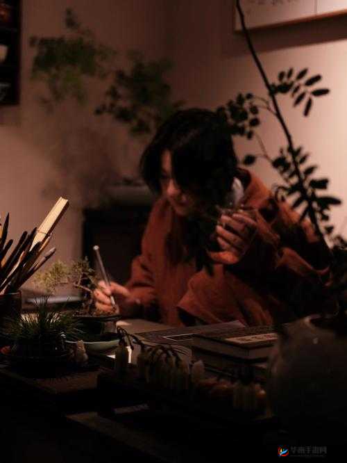 谜题答案？书房疑云揭秘：书房疑云答案览