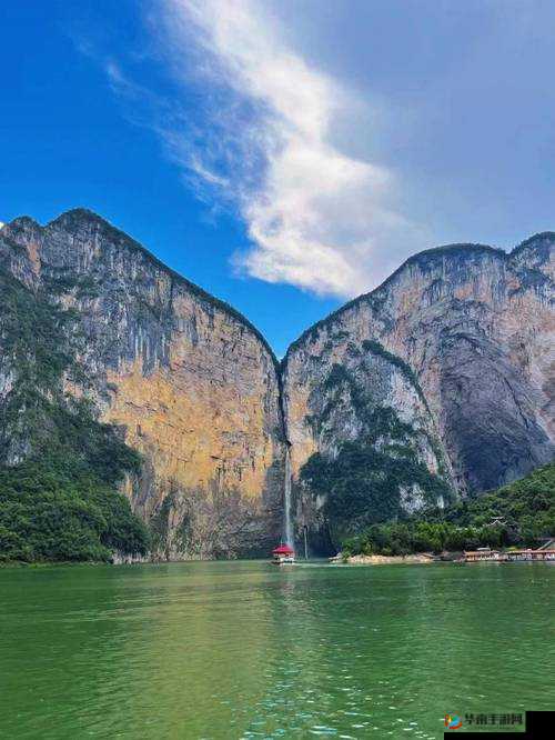 AAAA 级毛皮最简单三个标志选对不再难：实用指南