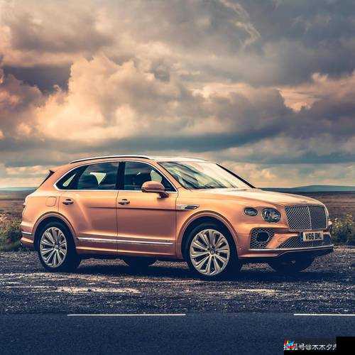 揭秘成熟的欧美精品 SUV：它们的独特魅力