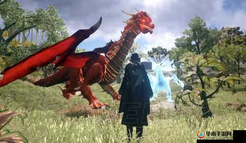 探秘光影交错：黑暗与光明中的奇异动物驯养地