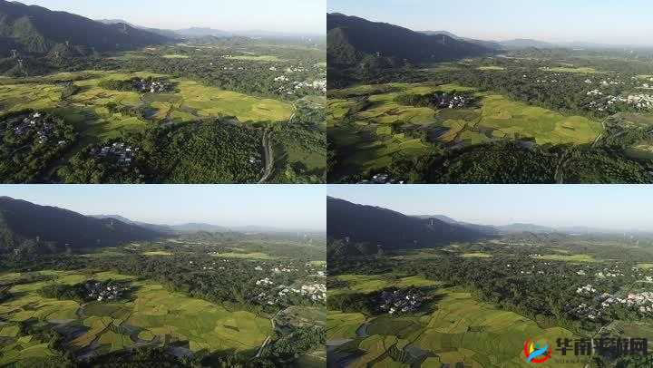 大地视频浏览二页：精彩内容持续呈现