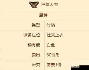 泰拉瑞亚游戏攻略：稻草人套装的获取途径详解与装备获取指南