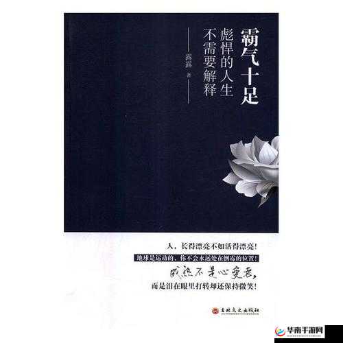 暴躁大妈荒野大镖客：彪悍的人生不需要解释