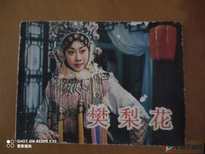 樊梨花的大馒头：传奇故事