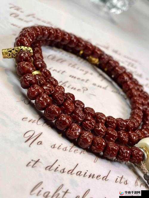 把佛珠一个一个挤出去免费阅读：佛珠奇趣之旅