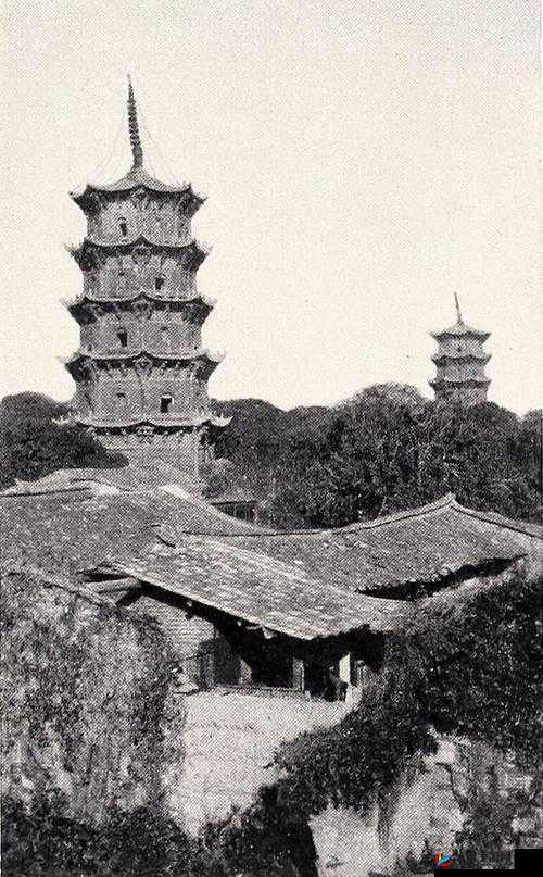 月挣 30 万却深度被套雷子向老塔求饶