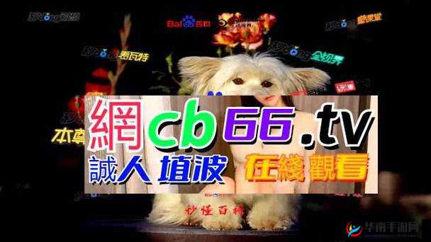 成品网源码 78w78 联合视频进行创新：探索未知领域