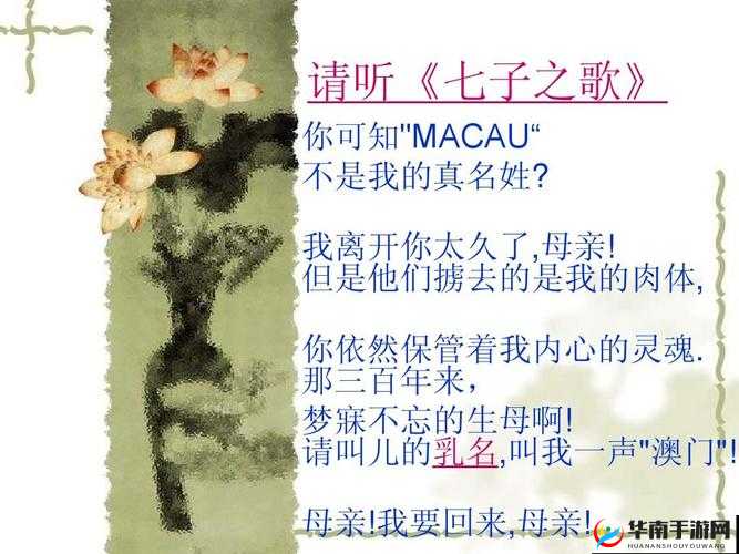 快拨出天我是你母亲：这句超火的话