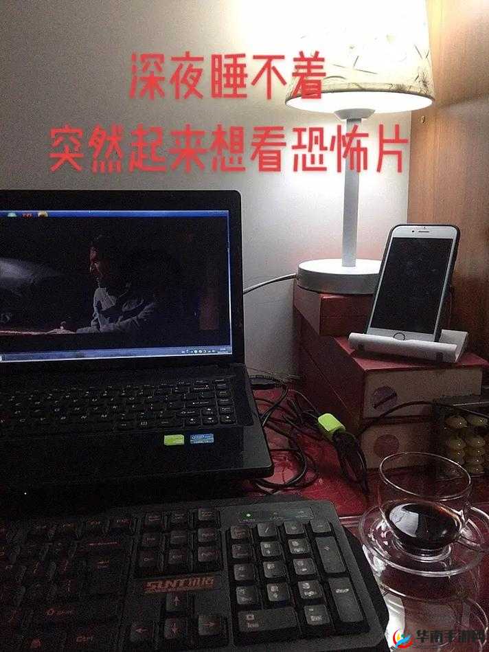 男生晚上睡不着想找点什么：开启深夜探索之旅