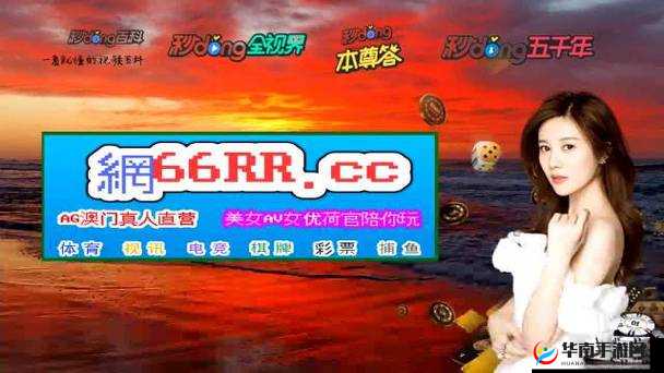 黄金网站APP视频下载大全：涵盖各类精彩视频