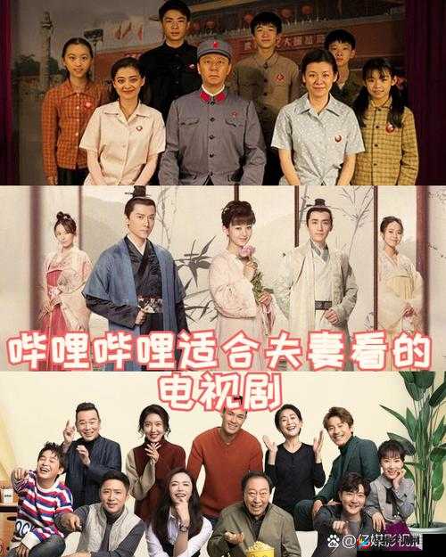 适合夫妻看的哔哩哔哩电视剧推荐