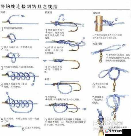梦想家园钓鱼玩法教程与小技巧全面分享指南