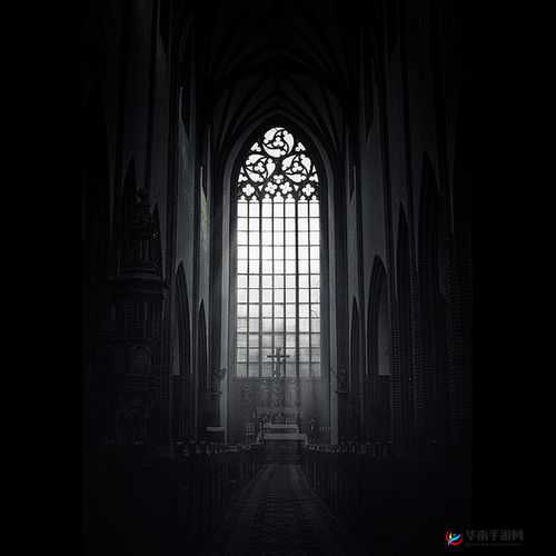 巴基斯坦BBBBBBSB：一个神秘的存在