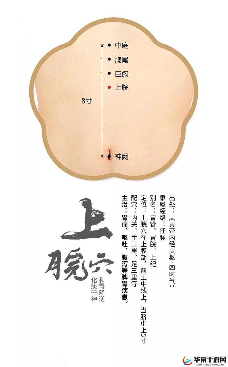 穴医她想逃-从古至今的医术传承之探秘