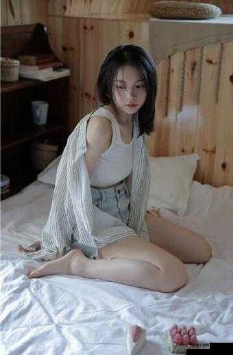 911 制品厂白晶晶深夜人数多之谜