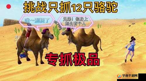 骆驼的奇幻美食：创造与魔法中的专属饲料探索