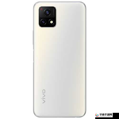 成色好的 y31s 标准版人民网：带来流畅体验