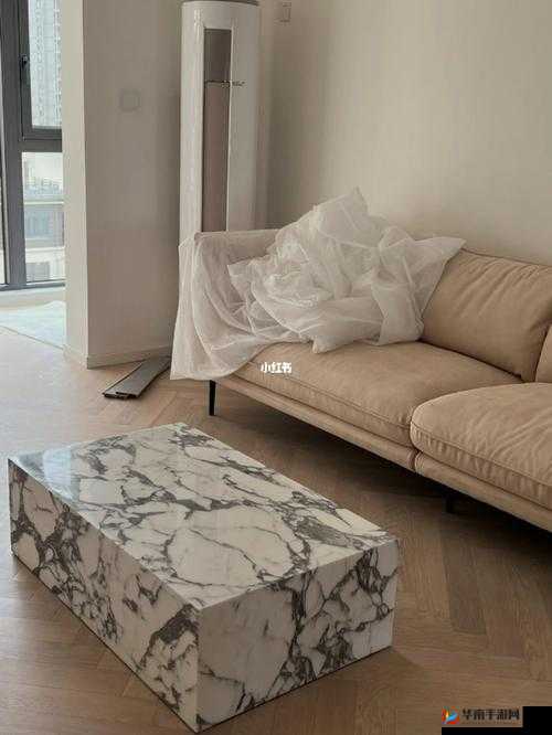 九个装修工人把我放在茶几上,究竟发生了什么?