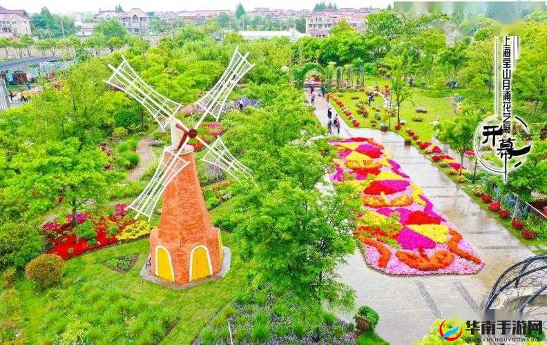 多肉小镇金银花：美丽绽放的特色小镇