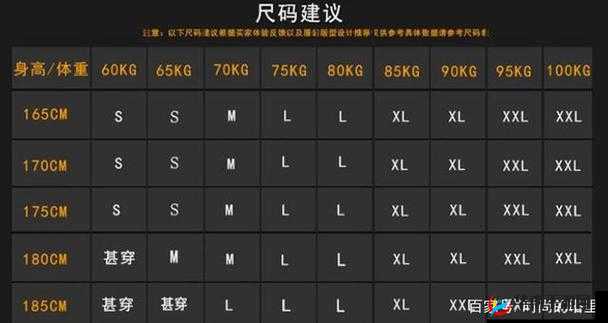 亚码 L 与欧码 L 的区别