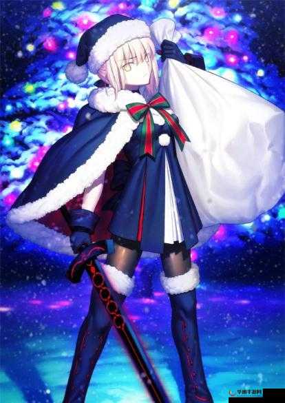 FGO 国服圣诞黑 Saber 技能强化材料全知晓