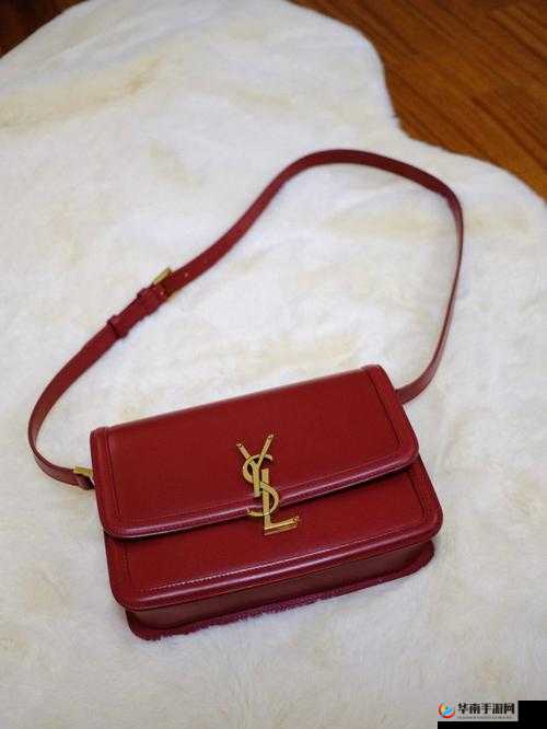 YSL 水蜜桃口红色 5117：魅力新色