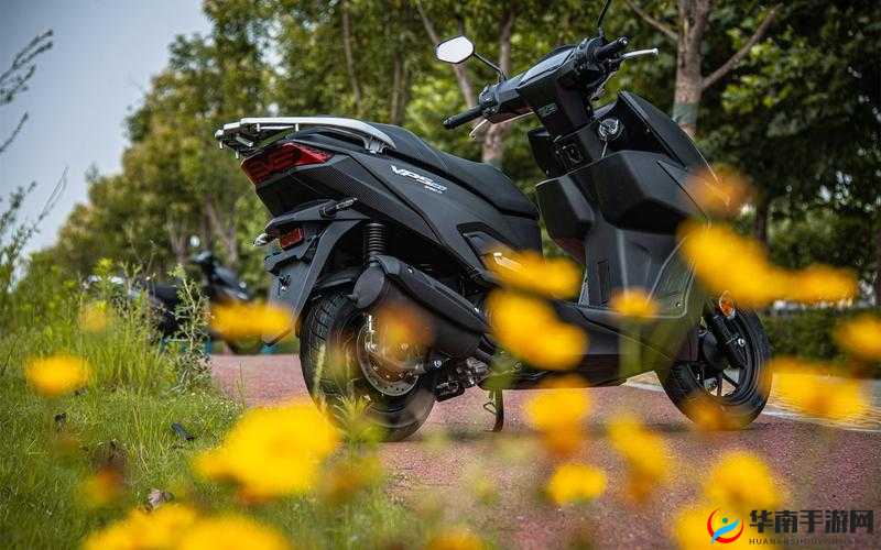 VPSWINDOWS 另类极品:极致体验,不可错过