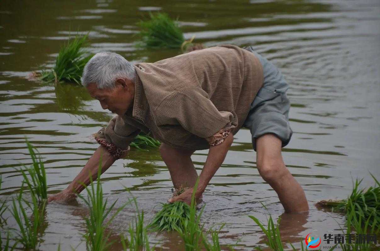 弯着腰弓着身子的样子：劳作的农民