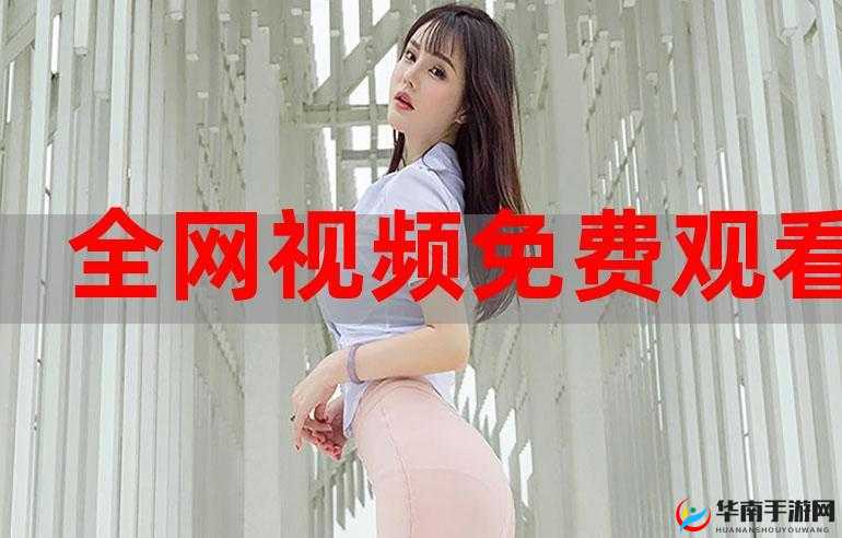 B站免费永久观看：优质视频随时畅享