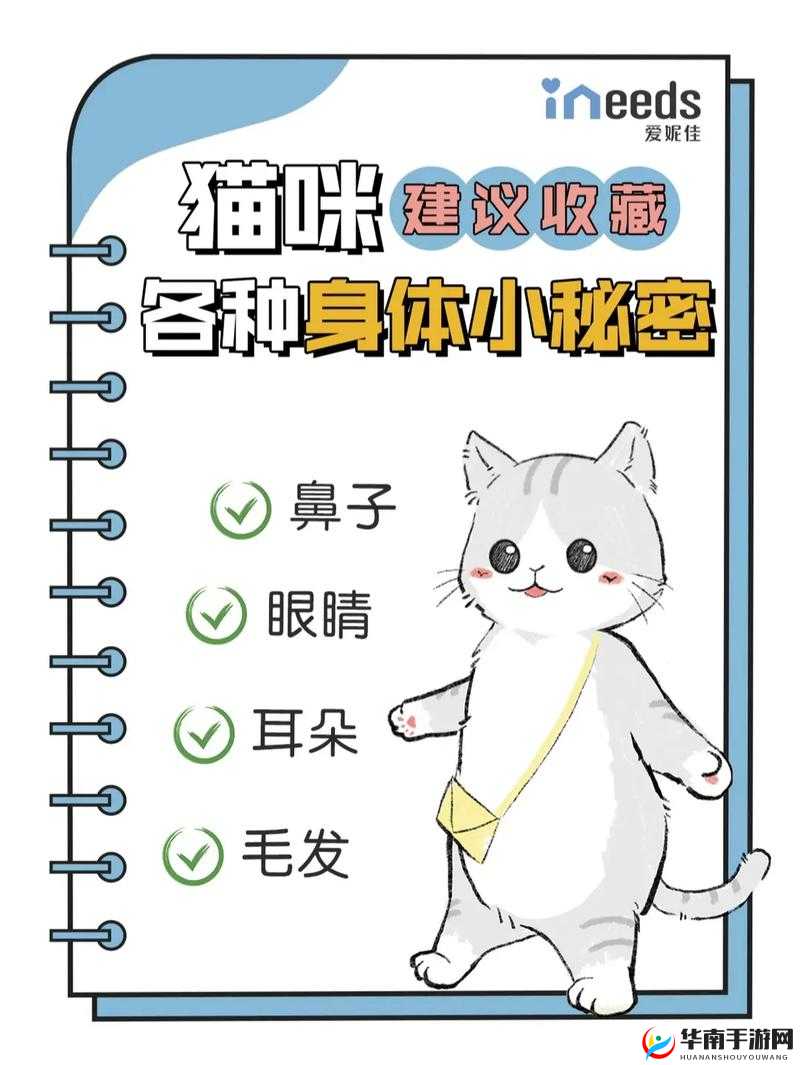 子怡妈妈出题：拥有80种宠物，积分攻略站中的秘密揭晓，宠物种类与积分累积量揭秘