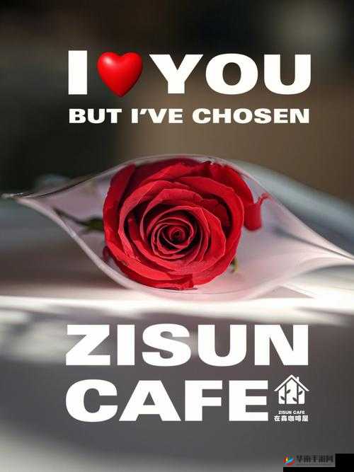 你是玫瑰 1V1：专属的浪漫邂逅